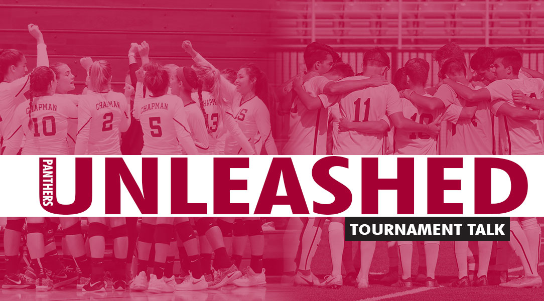 Panthers Unleashed: Volleyball and men's soccer team pictures.