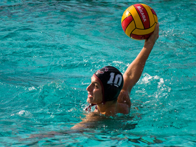 Dominic Tornambe