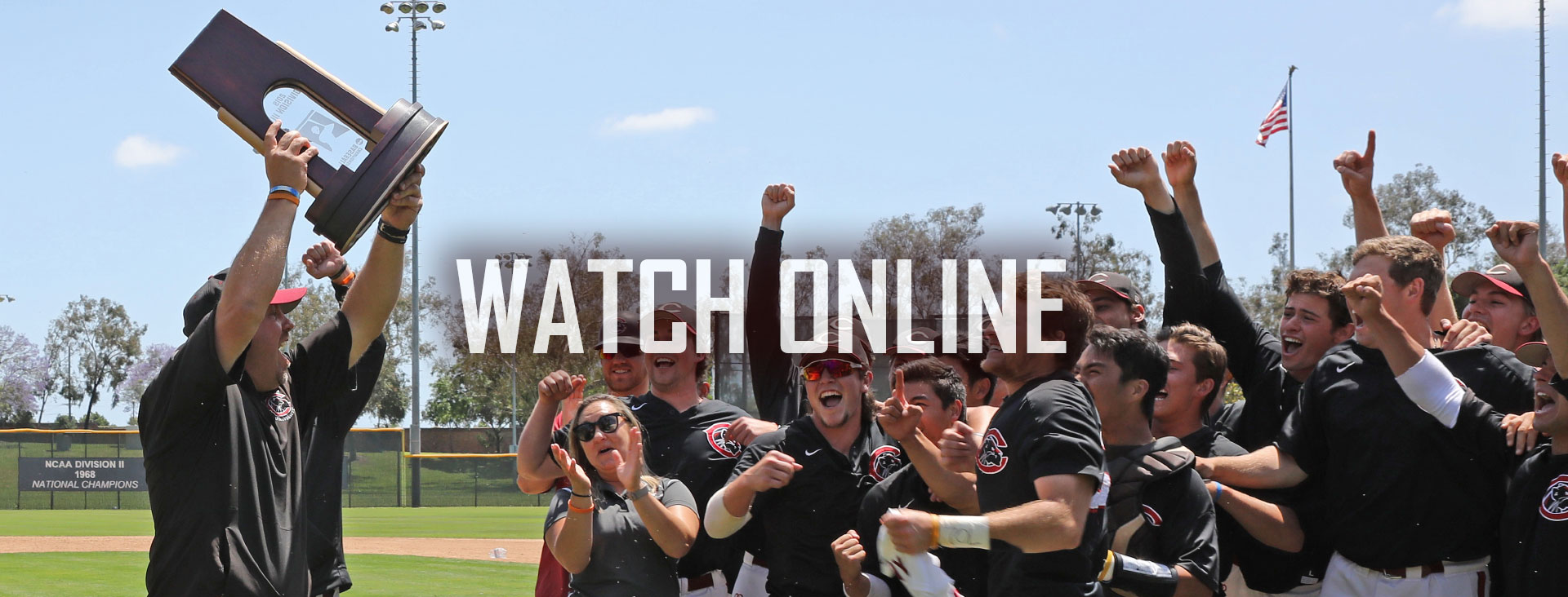 Watch Online