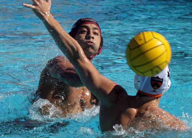 Mark Alvarado (Larry Newman Photography)