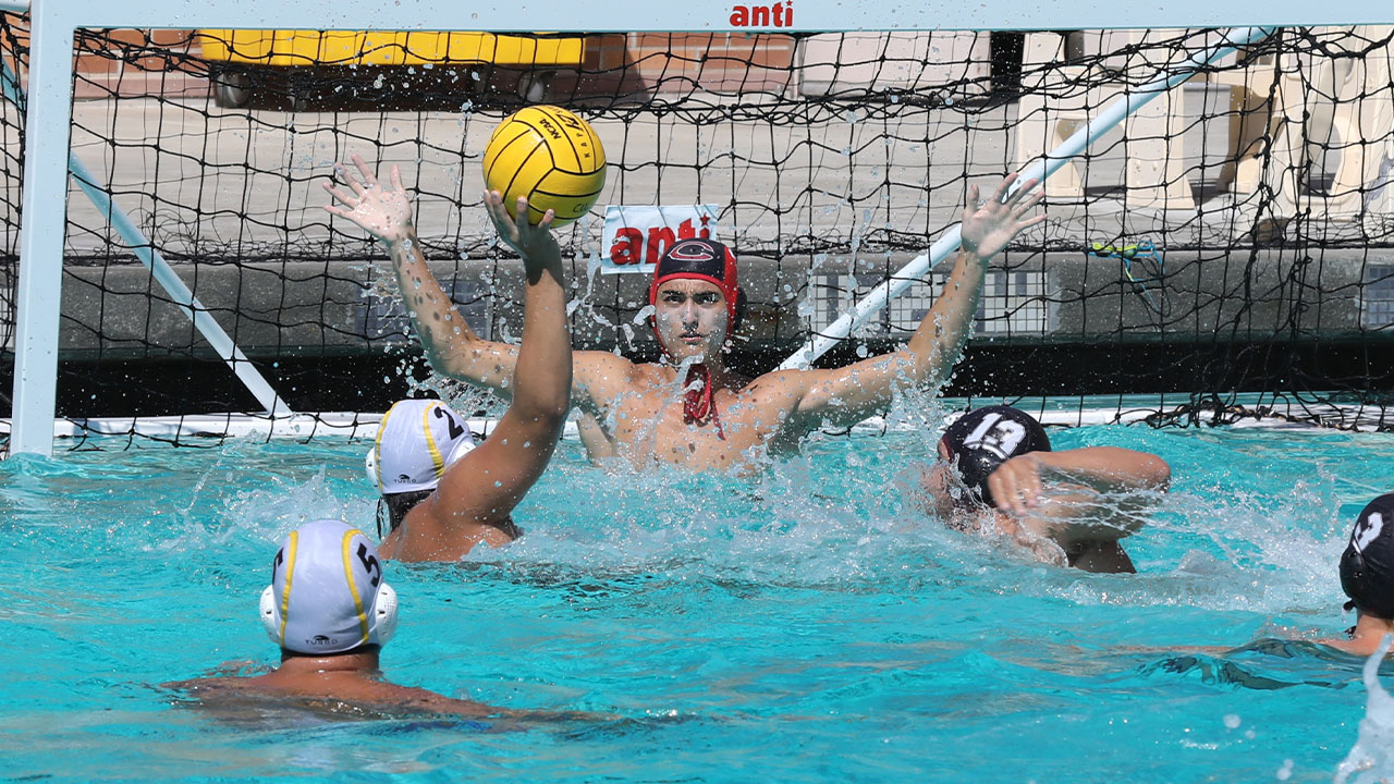 Danny Meisel prepares for a save.