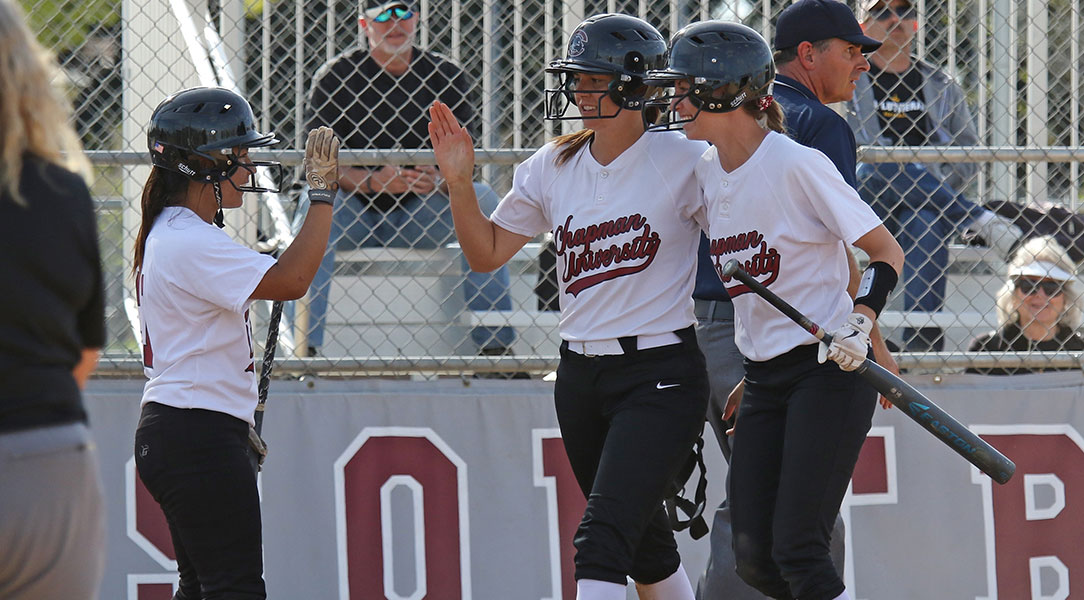 Teammates celebrate a run scored.