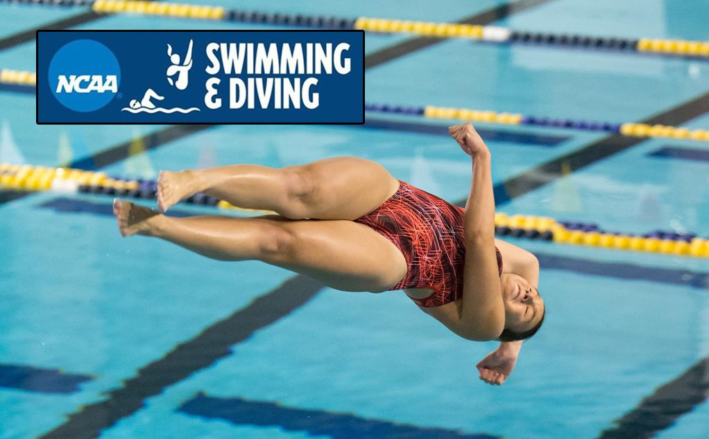 Divers wrap up competition at NCAA Regionals