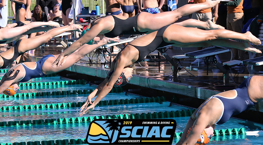 The women's swimmers dive into the pool.