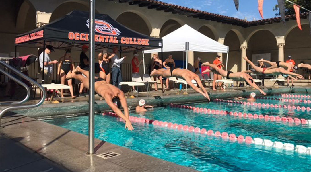 Men's swimmers dive off the blocks.