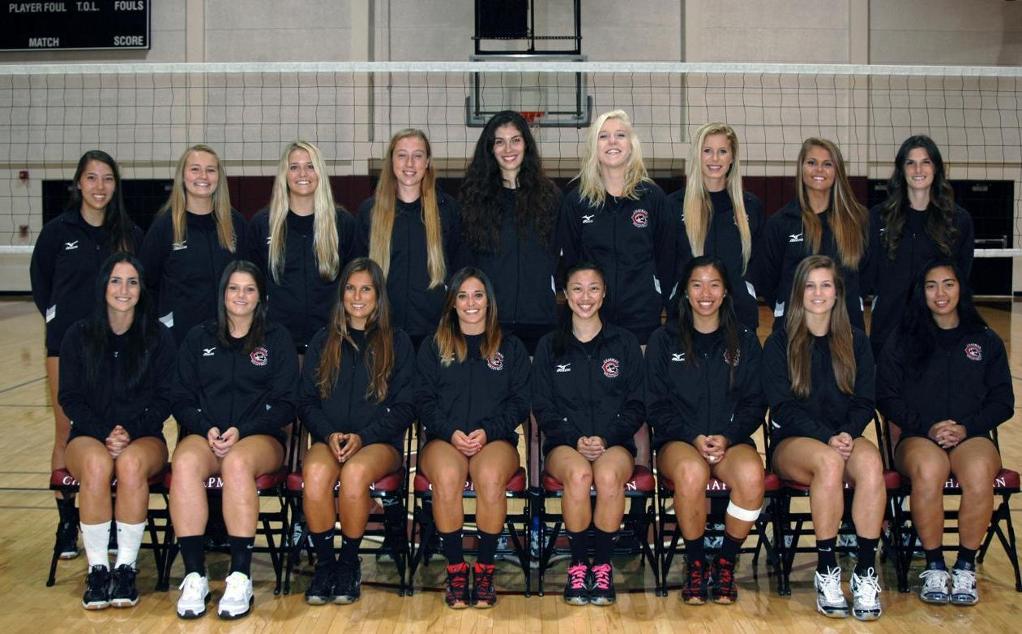 Six years running, volleyball earns AVCA academic honors