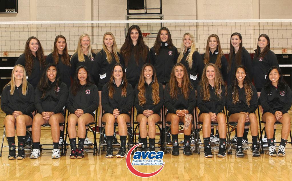 Women's volleyball earns AVCA academic award