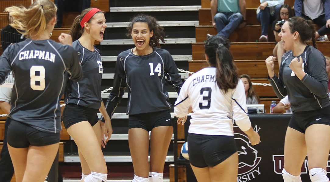 The Panthers celebrate a point.