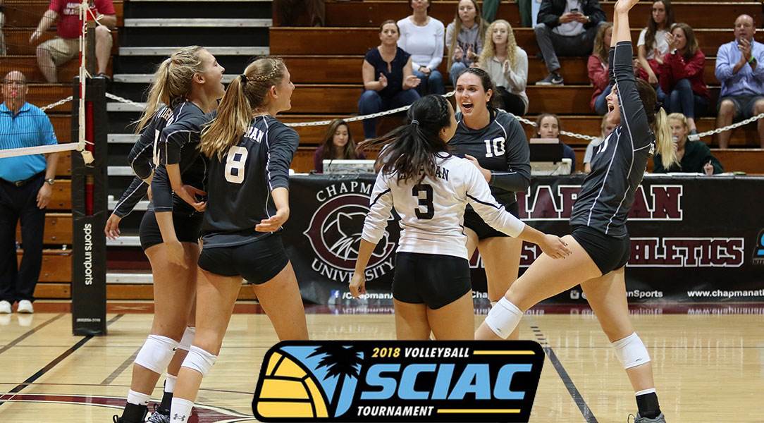 The volleyball team celebrates winning a point.