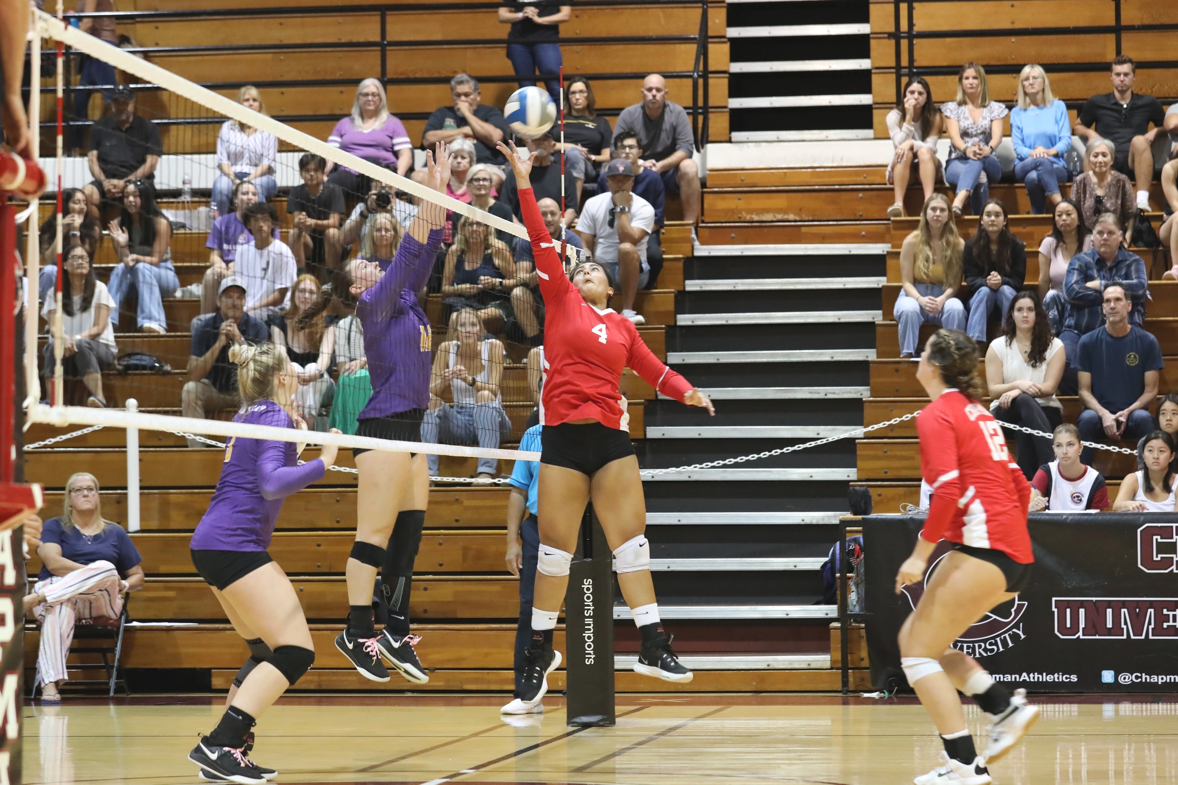 Chanel Sud jumps to set a ball at the net.