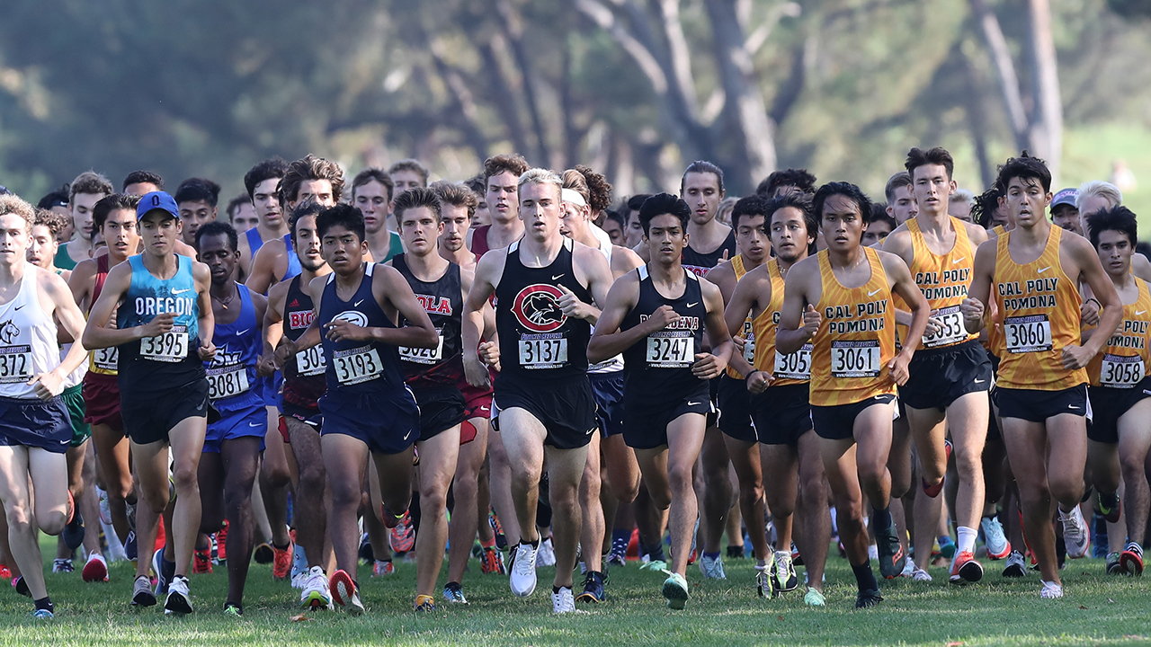 Group of men's runners race 
